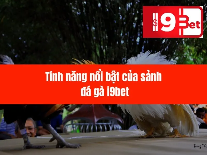 Đá Gà Trực Tuyến